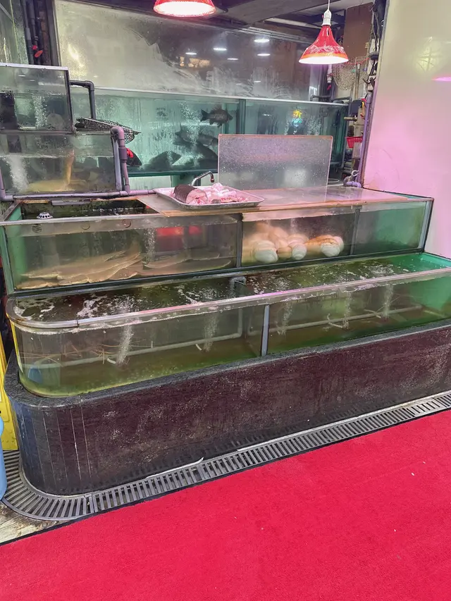 #香港美食 #順德 #香港必食 #佐敦美食