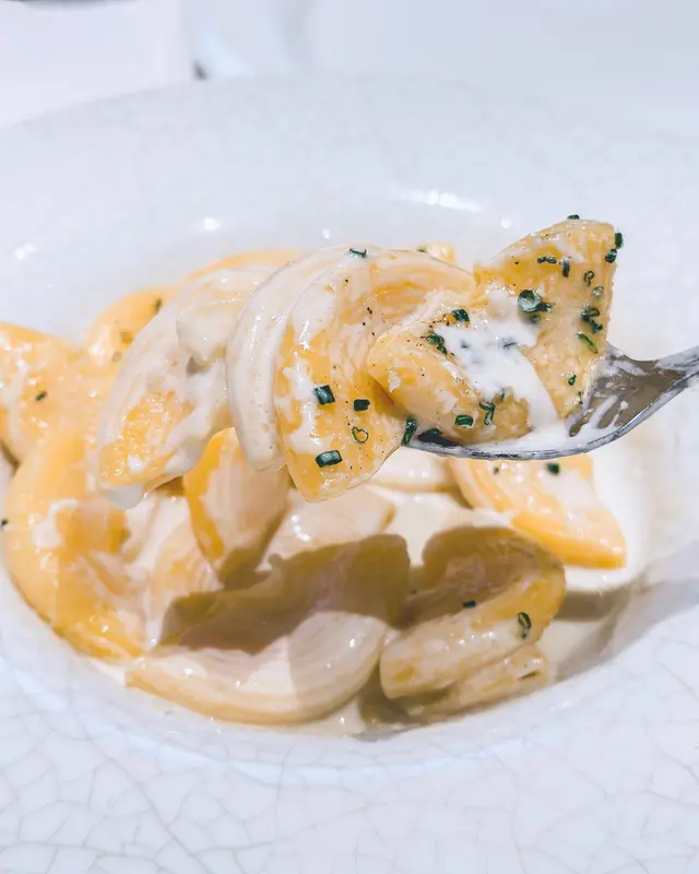 Homemade Rigatoni Pasta with Cream and Parmesan