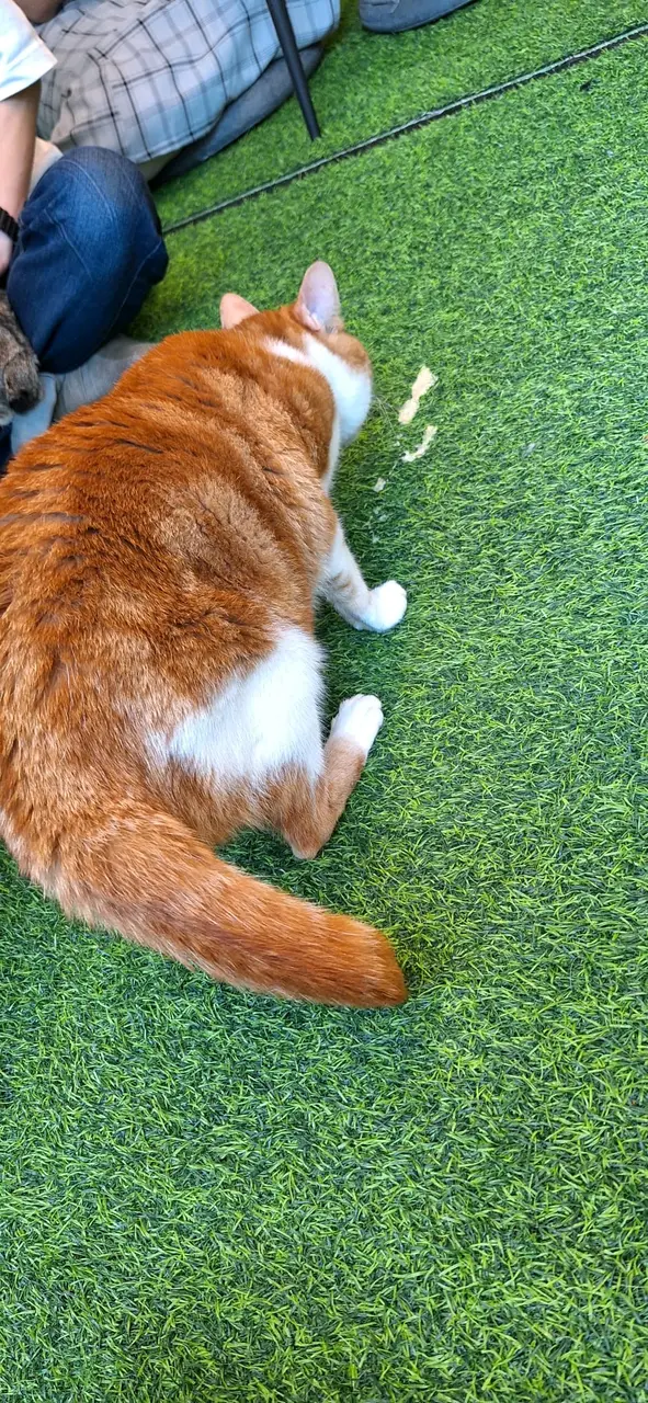 職員只系用濕紙巾抹一下😮💨