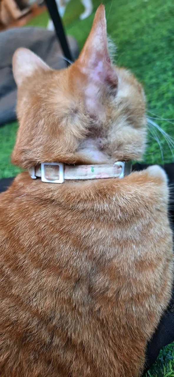 唔知佢有無醫生睇😪