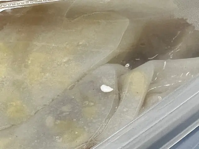 【極差的服務，呢間店真係次次令人成肚氣。】
