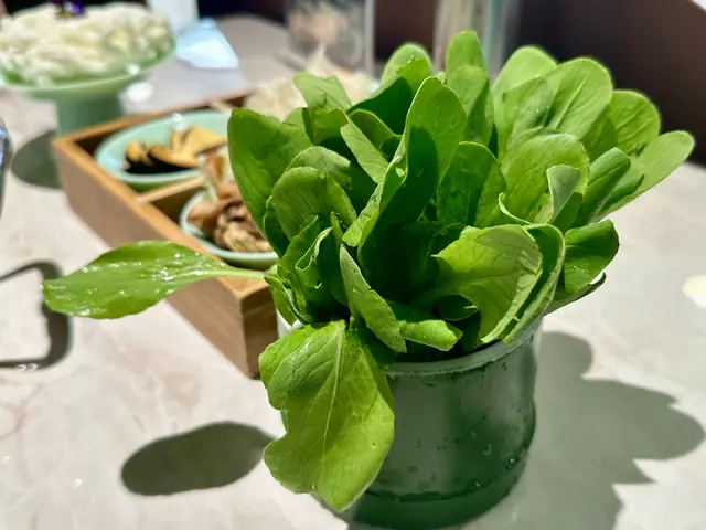 水培菜最大的分別就是無農藥種植,
比一般的土耕菜味道更清甜爽脆。👍🏻