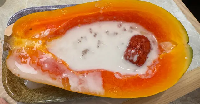 燕窩椰汁燉木瓜