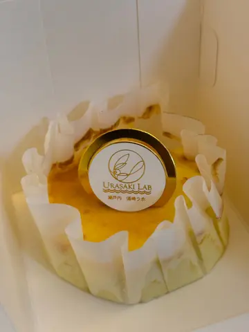 巴斯克芝士蛋糕x柚子酱夹心