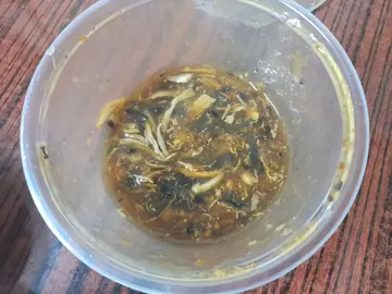蛇羹