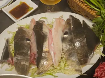 鮮大魚頭