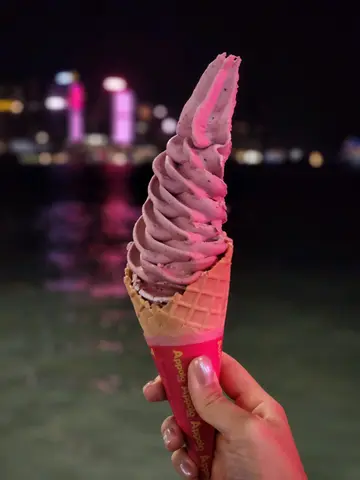 藍莓+芒果 fro-yo