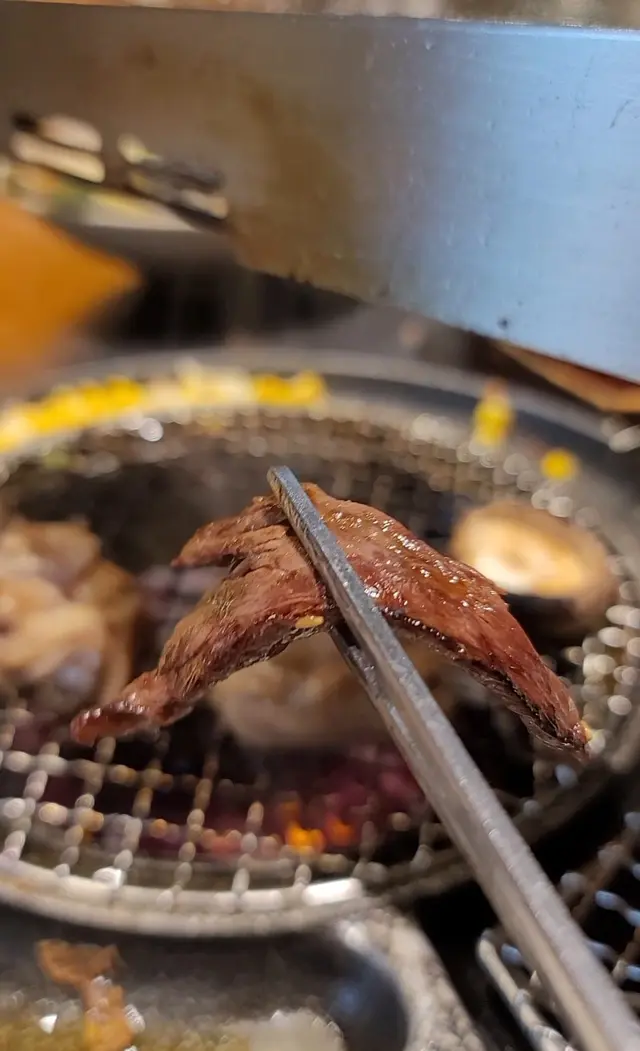 安格斯牛外群肉