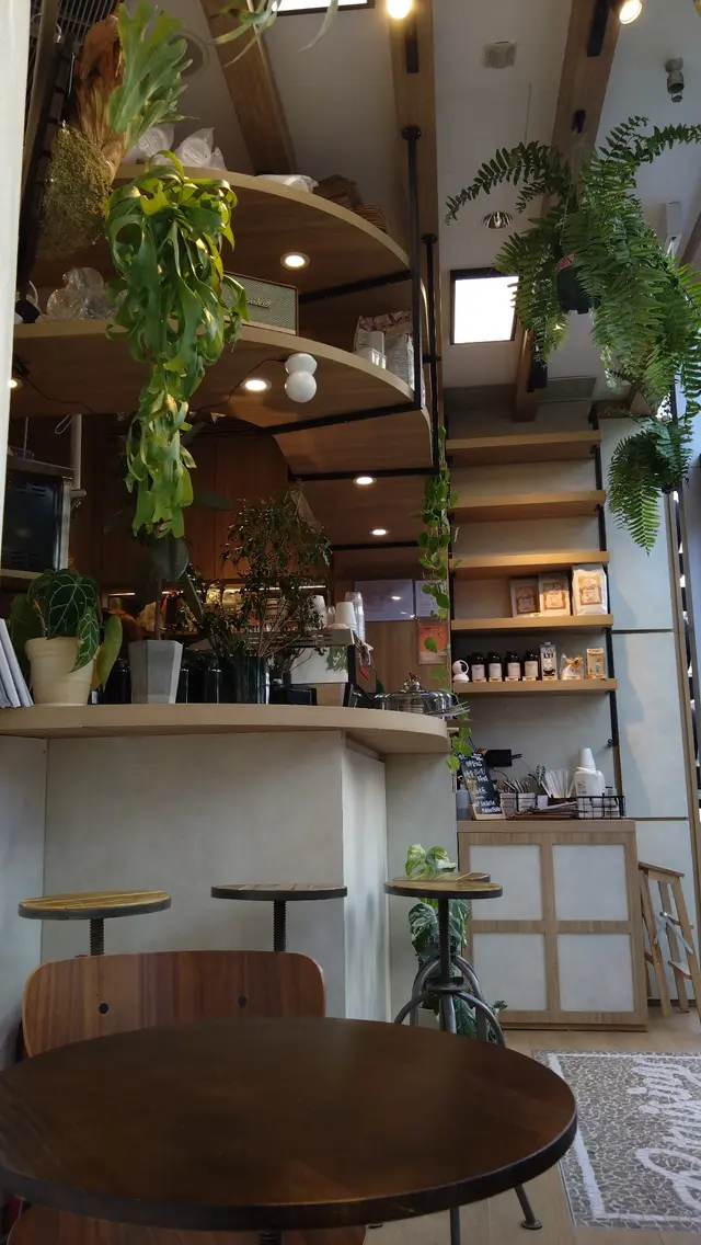 店內加了綠色植物，增添生氣