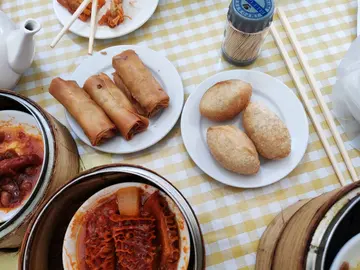 Spring Rolls and Pork Dumplings!!! 🥟🥟🥟
