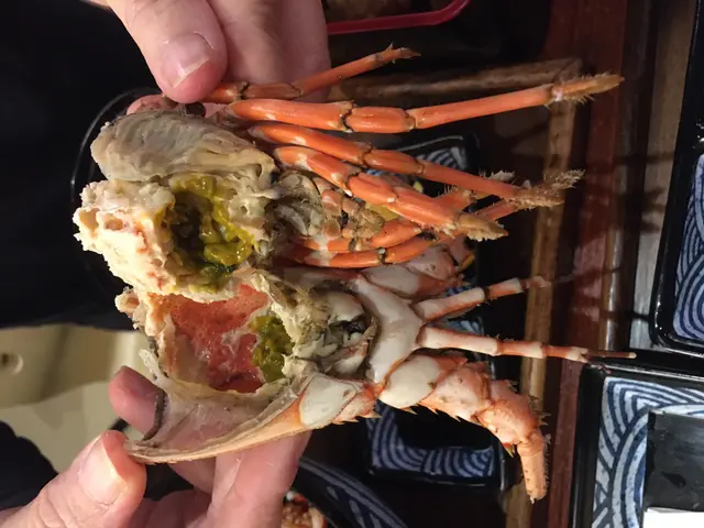 原隻活龍蝦天婦羅