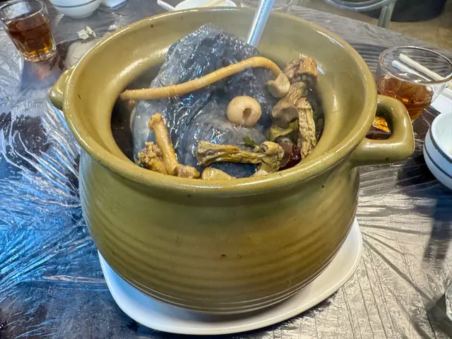 姬松茸羊肚菌猴頭菇螺頭燉烏雞