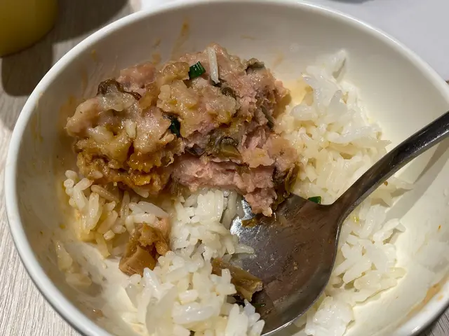梅菜蒸肉餅飯，肉餅好味，唔會醃到淋而無肉味。