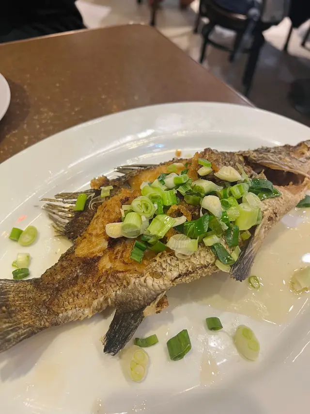 豉油皇煎封盲鰽