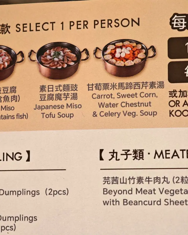 兩款素湯底