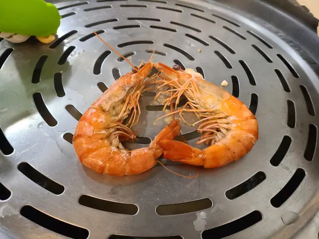 加拿大野生海虎蝦