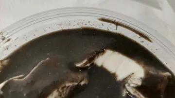 芝麻糊豆腐花