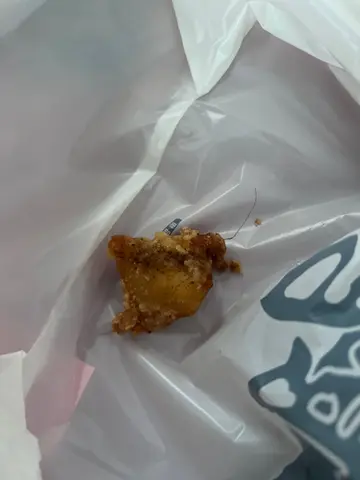 食物有毛髮