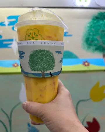 多芒小丸子