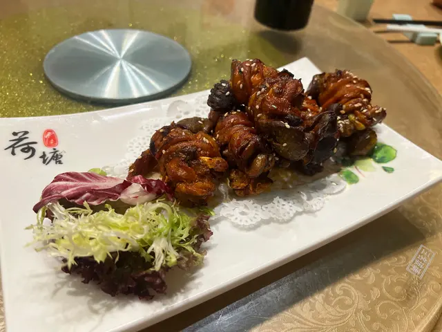 玉拒還迎猶如夢