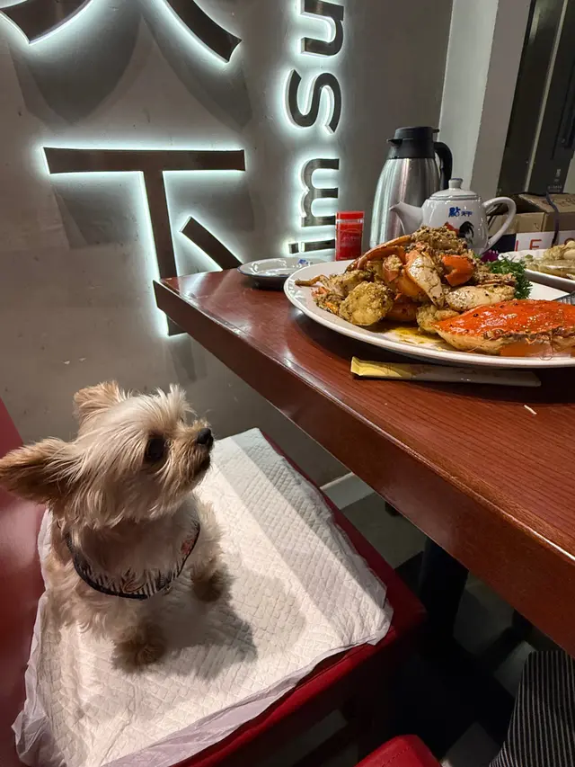 Pet  friendly  海鮮餐
