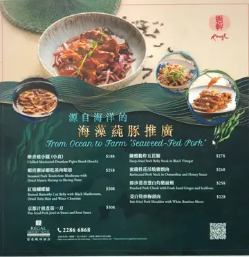 海藻豚菜譜