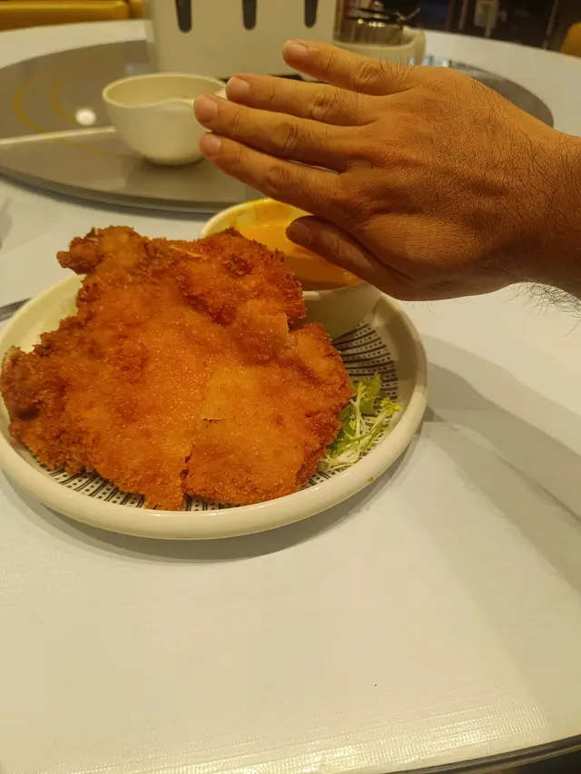 手掌咁大塊豬扒，同埋呢間餐廳嘅炸物，顏色好多時好光亮，換油次數應該好頻密，好經常性用新油嚟炸，你唔會食到好大陣油歷味，絕對值得一讚