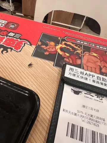 食嘢期间不停有很多乌蝇喺度飞来飞去