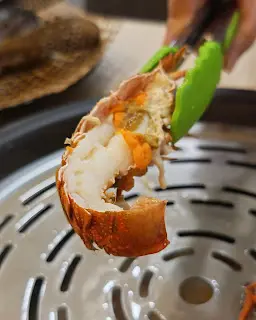野生琵琶龍蝦