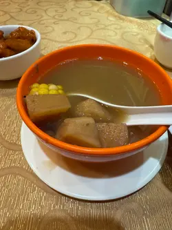 粉葛素汤
