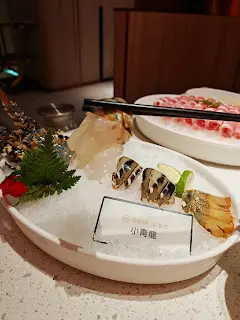 小青龍