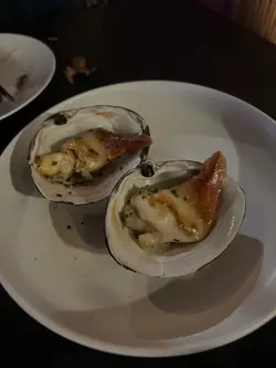 精选贝类