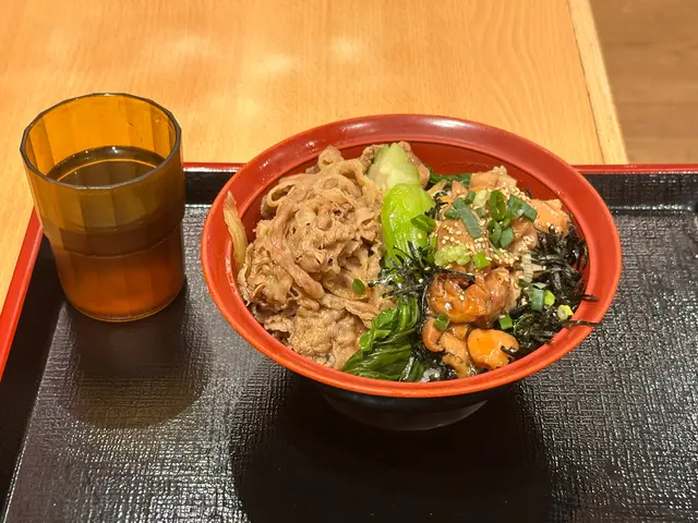 牛肉烤雞雙拼丼