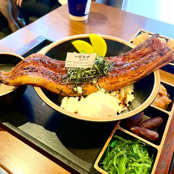 原條蒲燒鰻魚飯