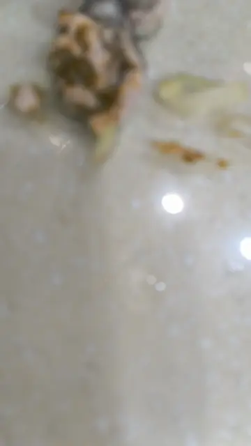 蠔仔肉碎泡飯