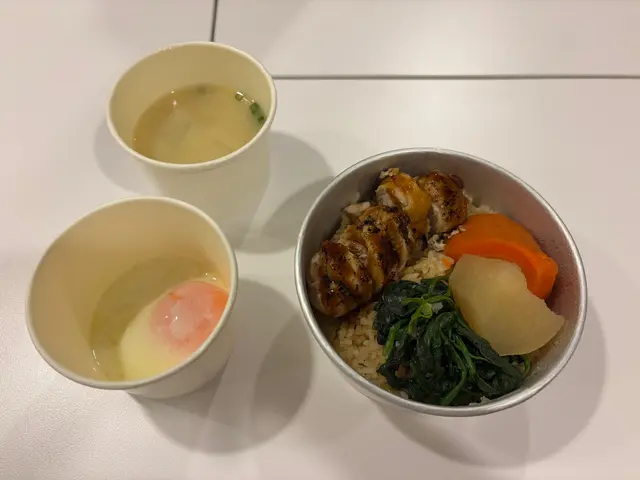 炙燒慢煮雞卷炊飯