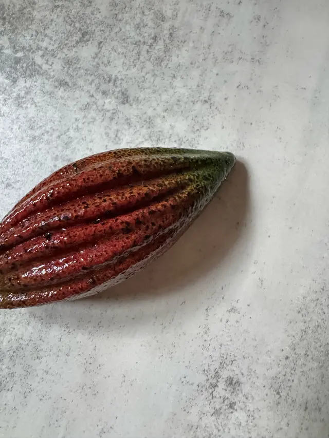 ᴠᴀʟʀʜᴏɴᴀ ᴄᴏᴄᴏᴀ ʜᴀᴢᴇʟɴᴜᴛ ᴄᴀᴋᴇ