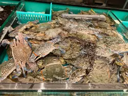 自助海鲜