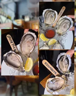 Oysters
