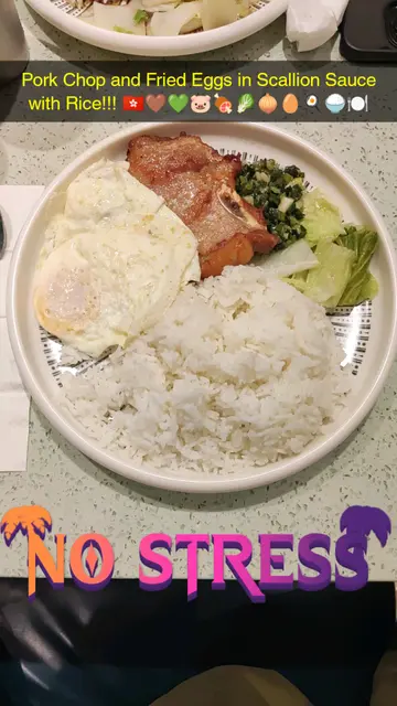 Pork Chops and Fried Eggs in Scallion Sauce with Rice!!! 🇭🇰🤎💚🐷🥩🥬🧅🥚🍳🍚🍽️