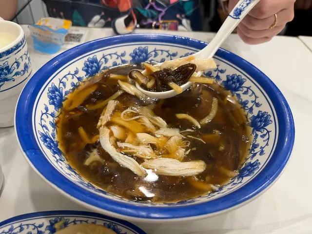 雞絲酸辣湯