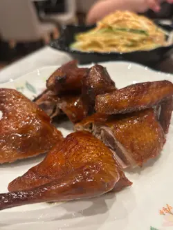 妙齡乳鴿