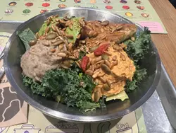 Regular Salad Bowl 