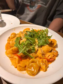 意式辣肉猫耳朵面 