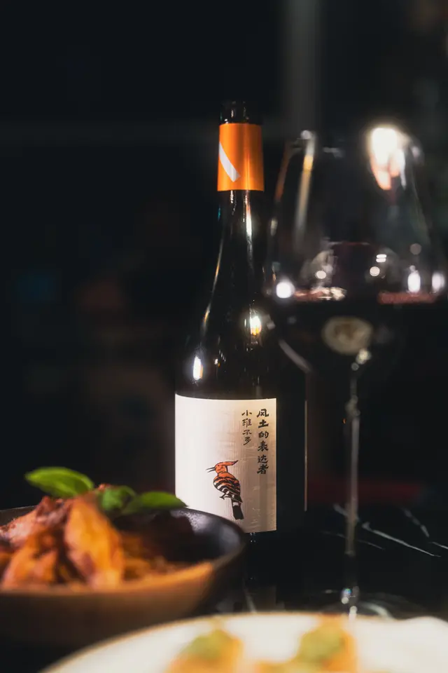 小維爾多 風土的表達者」