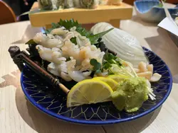 北海道白象拔蚌