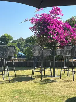 有呢個小草地比狗仔打卡