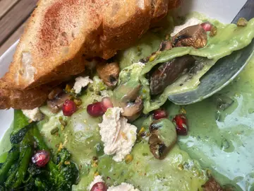 开心果青酱手工制云吞