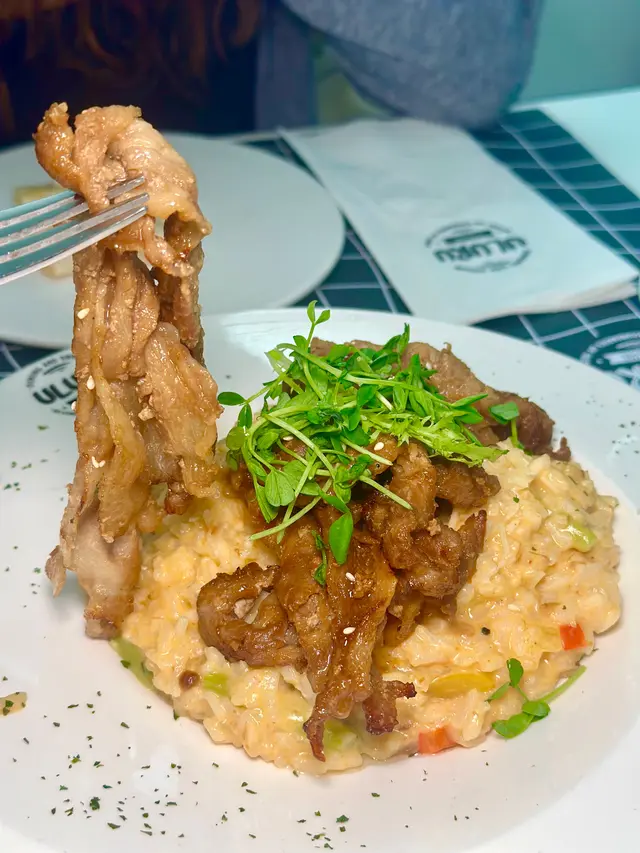 紅燒蜜汁豬腩肉片五香肉丁燴意大利飯