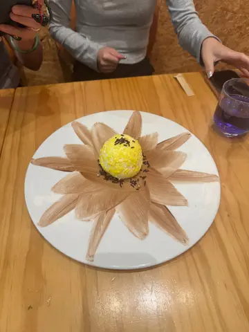 西西里的檸檬向日葵🌻